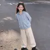 Conjunto de Dos Piezas para Niñas de Edad Media y Grandes, Estilo Nuevo para Primavera y Otoño, Sudadera con Capucha y Cremallera, Top con Sentido del Diseño, Pantalones Casuales, Pantalones de Pierna Ancha
