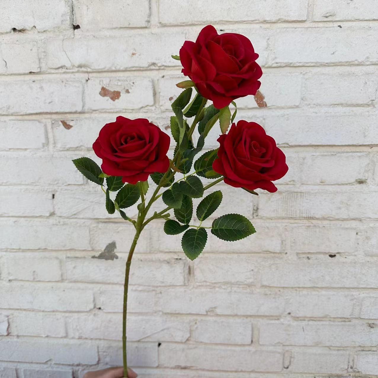 绒玫瑰红色3头大