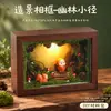 Cáscara de Fruta Medicina Herbal China Creación de Micro-Paisajes Manualidades DIY Adornos de Escritorio Equipo de Investigación Escolar Actividades de Calentamiento para Team Building