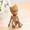 Planta de Madeira Brasileira, Madeira da Sorte, Planta Parecida com a Árvore Groot, Florindo com Botões, Planta Verde de Baixa Manutenção, Pequena Planta de Vaso para Desktop para o Escritório