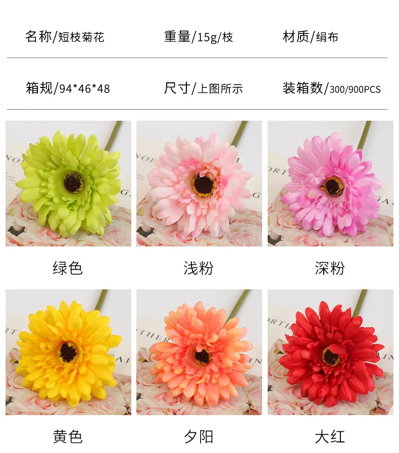 短枝菊-花_05.jpg