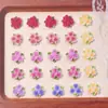 Decorações Populares Sanshenghua para Unhas Acessórios Pequenos de Resina Flor DIY Brincos Presilhas de Cabelo Acessórios 3D Usáveis para Unhas