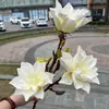 Nova flor de magnólia com simulação de toque manual 3D, 3 cabeças, toque de mola, magnólia, moda nacional, casamento, decoração macia, flor artificial, atacado