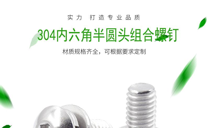 304内六角半圆头-1688详情_01.jpg