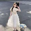 2026 Nuevo Estilo Conjunto de Dos Piezas para Niñas Estilo Coreano Dulce y Lindo Dibujos Animados Camiseta de Manga Corta Falda de Encaje de Malla Tipo Pastel