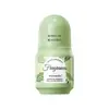 Desodorante Roll-On Fayankou Plant Essence Todo en Inglés con Fragancia de Larga Duración y Aroma Refrescante, Comercio Exterior Transfronterizo al por Mayor