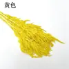 Arroz VermelhoArroz Vermelho Eternidade Espiga de Cauda Amaranto Flor Seca Flor da Eternidade Decoração de Casa Enfeites Macios Adereços de Fotografia