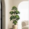 Planta de Simulación Madera Pie de Pato de Pie en Maceta Planta Verde Biónica Adornos Sala de Estar Lado del Sofá Decoración del Hogar Bonsái Árbol Falso
