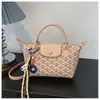 Bolsa Casual para o Dia a Dia para Mulheres, Nova Tendência da Moda, Design de Nicho, Estilo Coreano, Bolsa Transversal Versátil de Alta Qualidade