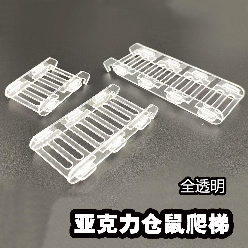 主1.jpg