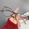 Armações de Óculos Retrô Europeias e Americanas Cat-Eye Tendência Óculos com Bloqueio de Luz Azul Óculos Sem Grau para Mulheres Moda Live do Tiktok Estudante Óculos de Grau