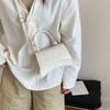 Bolso Cruzado Casual con Patrón de Cocodrilo 2025 Nueva Moda Estilo Coreano Elegante Simple Bolso de Mano Bolso Cuadrado Pequeño para Mujer