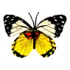 Cabeza de Flor de Mariposa de Goma Suave de Plástico, Decoración del Hogar con Flores Artificiales, Arreglo de Boda, Adornos al por Mayor, Decoración de Mesa para Exteriores