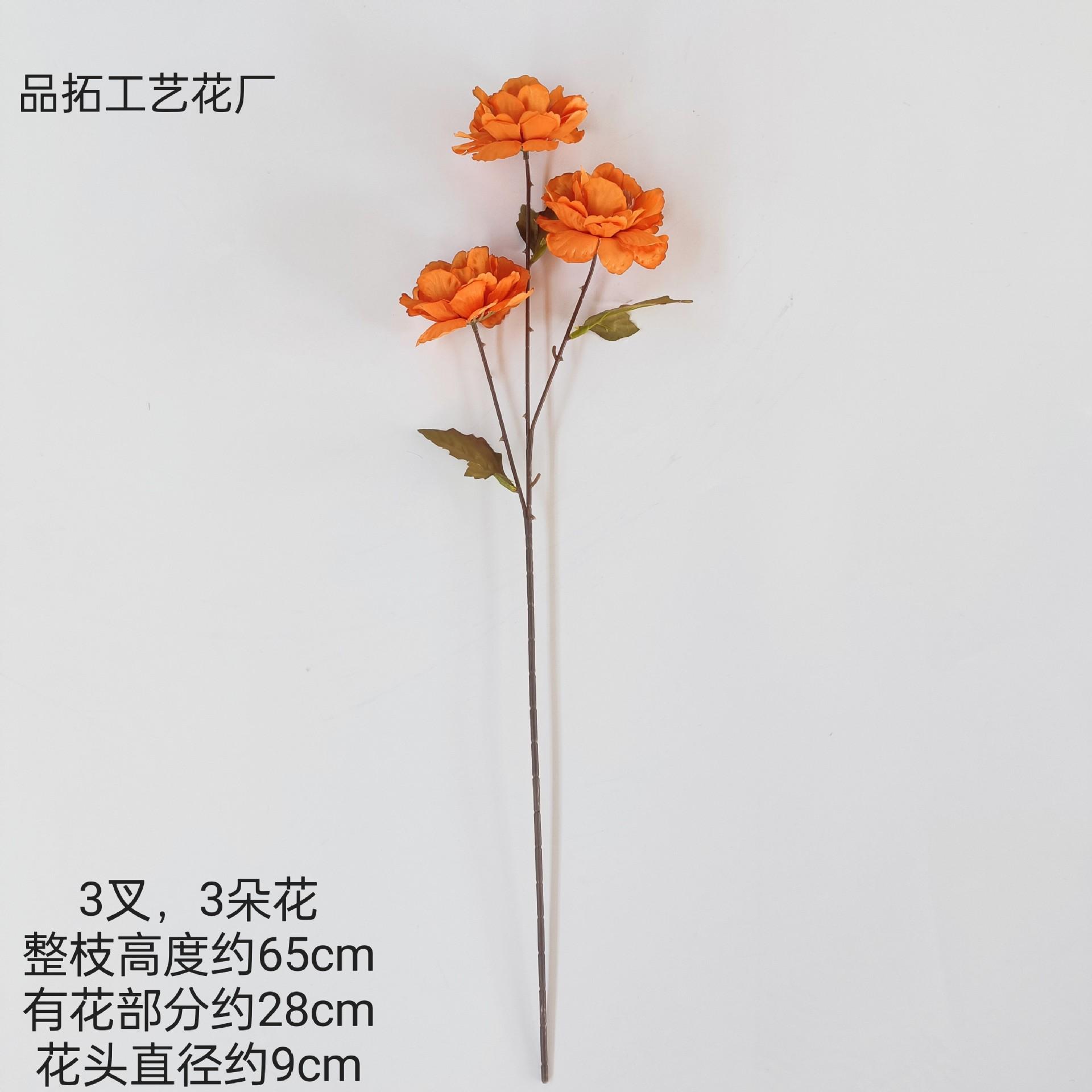 f5595a9ff35aa27825b0c8bc692b6f