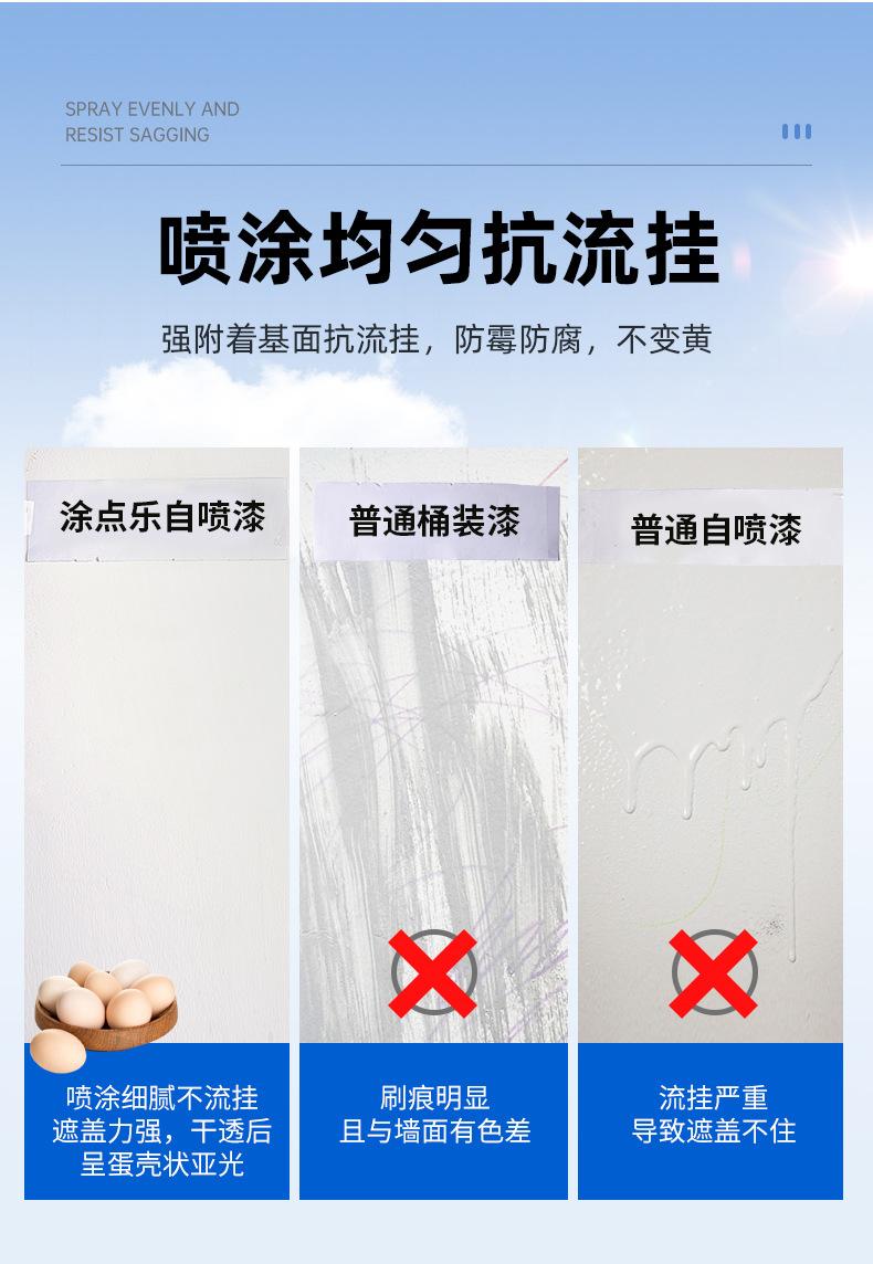 墙面翻新漆300ml_10