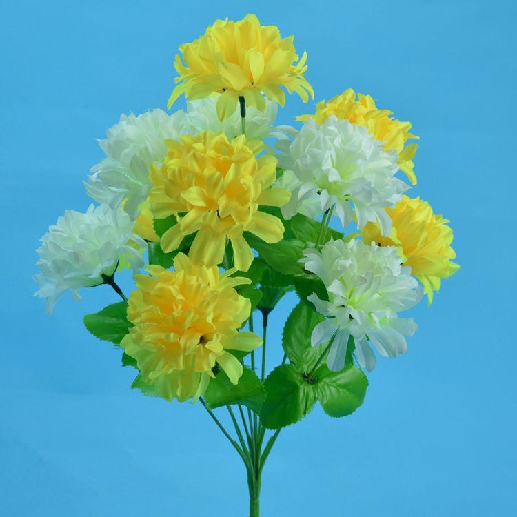 12头爪菊3.jpg