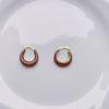 Serie de colores Maillard ~ otoño e invierno Nuevos pendientes populares para mujeres en nicho, pendientes de diseño simple, versátiles y de alta gama