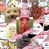 126 Emoticonos de Billetes Memes de Internet Broma Diversión Paquete de Emoticonos de Billetes de Cien Yuan Decoración DIY para Fundas de Teléfono y Diarios