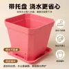 Vasos grandes quadrados para suculentas no atacado com aberturas largas para uso em mesa interna e varanda, vasos pequenos coloridos para flores de suculentas com bandejas de plástico espessado
