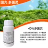 Guoguang 40% Carbendazim Planta Flor Oídio, Mancha Negra, Antracnosis Especial Carbendazim Fungicida General