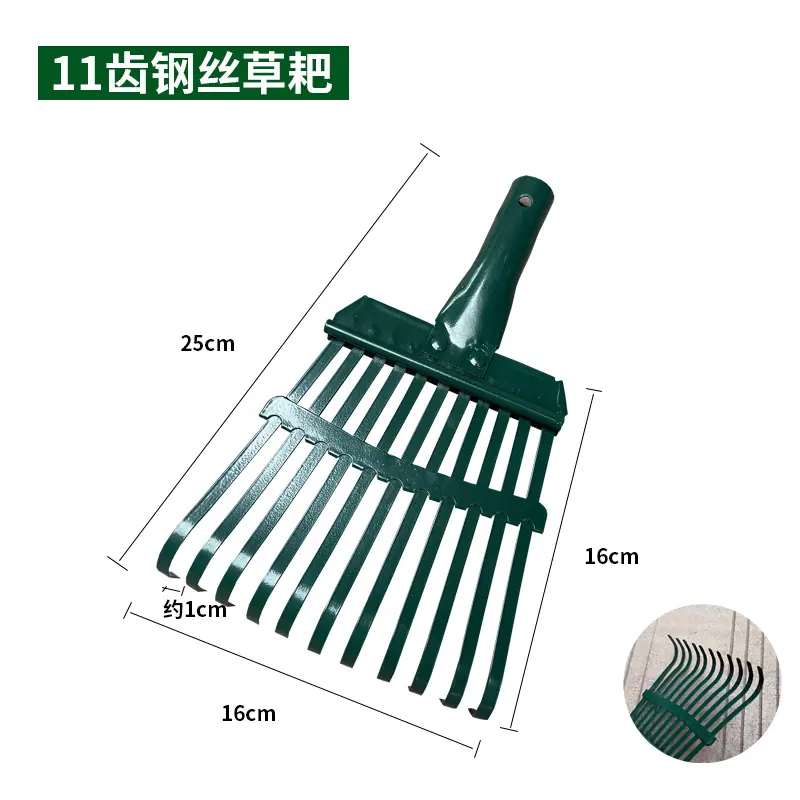 11齿分类