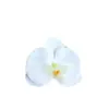 Item popular de comércio exterior: Cabeças de flores de orquídea Phalaenopsis artificiais grandes para casamentos, banquetes, arranjos de fotografia, peças de flores falsas com toque realista, materiais para adereços