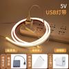 Tira de Luz LED Recargable al por Mayor 5V Bajo Voltaje Batería USB Neón Flexible Autoadhesiva Silicona Tira de Luz Suave
