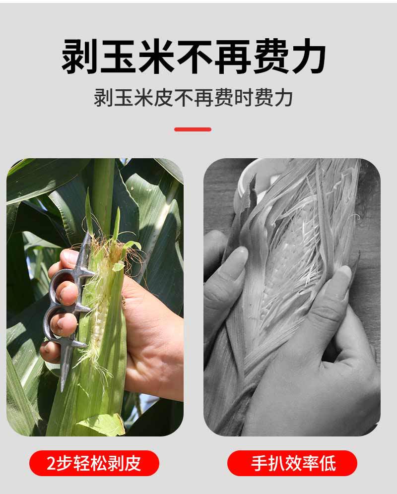 未标题-1_03.jpg