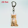 Accesorios para Entusiastas Transfronterizos Mascota Coche Acrílico Colgante Espejo Retrovisor Colgante Serpiente Gatito Colgante Negro