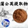 Extrato de dente-de-leão 10:1 Extrato vegetal em pó solúvel em água, medicinal e comestível, matéria-prima de grau alimentício em estoque