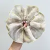 Estilo Coreano Primavera y Verano Suave Giratorio Talla Grande Estilo Chino Estampado Anillo para el Cabello de Intestino Grueso Encaje Tiara para Mujer Cuerda para el Cabello Dulce de Moda