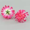 Fábrica de pantallas fotográficas de Yiwu simulación flor crisantemo garra flor semiacabada hecho a mano diy accesorios de flores falsas crisantemo flor al por mayor