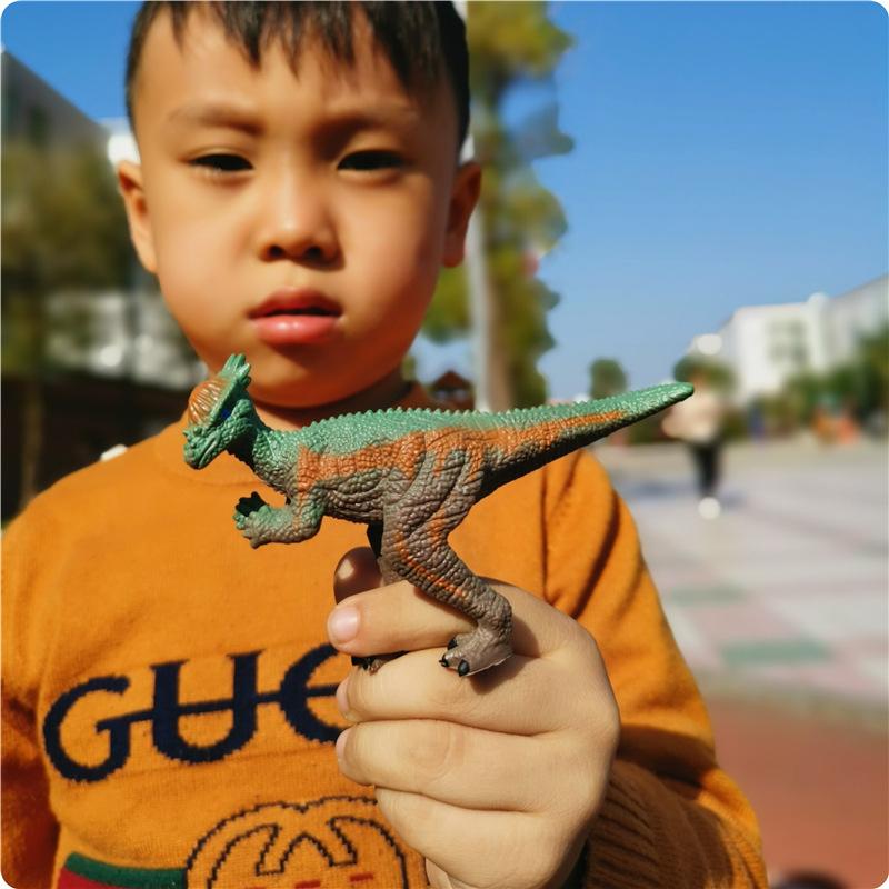 肿头龙