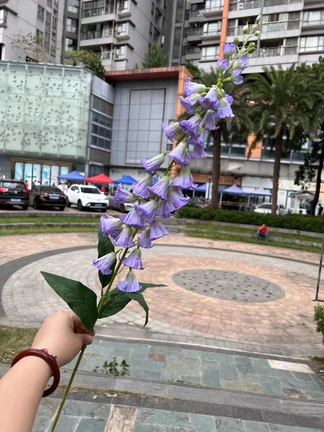 微信图片_20240818143634.jpg