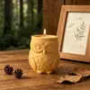 Chunqi Novo Produto Transfronteiriço Pote de Armazenamento Coruja Molde de Silicone DIY Copo de Vela de Gesso para Aromaterapia Molde de Resina
