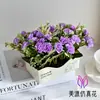 Flores Artificiais, Bonsai de Rosa Pequena Estilo Pastoral, Flores Artificiais Fornecidas Diretamente por Fabricantes, Enfeites Criativos para Decoração de Casa, Plantas Artificiais em Vasos
