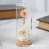 Regalo de Graduación Flor Eterna de Diente de León para Amigos diy Hecho a Mano Flor Seca Regalo de Acompañamiento Regalo de Cumpleaños