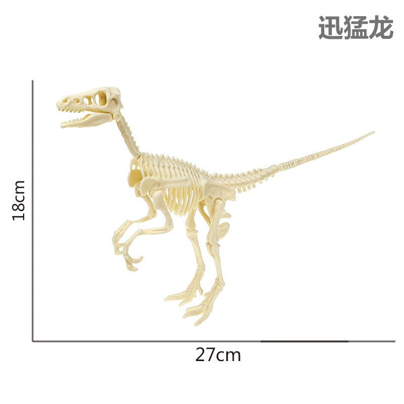 迅猛龙.jpg