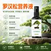 Solução nutritiva especial para Podocarpus macrophyllus promove o crescimento, fortalece as mudas, deixa as folhas robustas, previne o amarelamento, o ressecamento, o apodrecimento das raízes, o crescimento lento e a fertilização