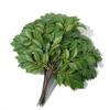 Dongguan planta verde artificial Árbol grande rama plana Hoja Naranja Hoja de Arce Higuera Francesa hoja de té hoja de plástico
