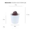 Set de Bonsái de Suculentas de Plástico Mini en Stock, Suculenta Artificial Creativa de Amazon, Flor Artificial Transfronteriza Planta en Maceta Pequeña
