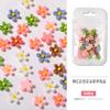 Joyería para Uñas de Flor de Frangipani de Celebridad de Internet, Uñas Portables, Flores Blancas Pequeñas, Diamantes para Uñas de Flor de Resina de Colores Mixtos, Estilo Popular