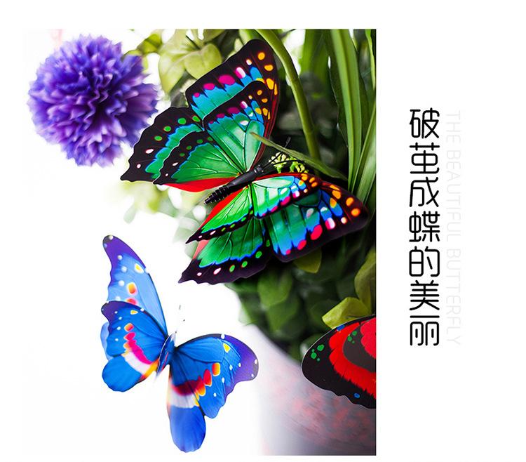 地推小礼品 展览饰品