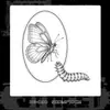 Adesivos de Tatuagem Populares Bg Herbais Transfronteiriços com Desenhos de Asa e Borboleta para Braços e Pulsos, Adesivos Personalizados da Moda, Atacado da Fonte