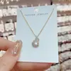 Moda Coreana Simples Colar de Cisne com Microincrustação de Zircônia Design de Nicho Corrente Fresca para Clavícula Corrente de Pescoço de Luxo Leve Celebridade da Internet