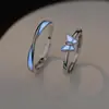 Anillo de Mariposa Luminosa para Pareja para Hombres y Mujeres un Par de Anillos Sencillos de Gota de Gel de Alto Nivel Moda Todo Combinable Anillo Fluorescente