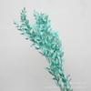 Folhas ricas branqueadas flor eterna flor seca buquê de flores diy material casamento fotografia floral adereços fábrica atacado