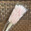 Grama de cauda de coelho imortal, flor seca, grama de cauda de cachorro, flor real, vento nórdico, decoração de interiores transfronteiriça, adereços de tiro, fábrica, atacado