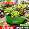 Plantio de Vegetais Linda Bolsa de Plantio Bolsa de Plantio Não Tecida Espessa Durável Doméstica Varanda Plantio Frutas Vegetais Vaso Externo