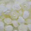 Cabeza de Rosa de 3.5CM Espuma PE Hilo de Cinturón Flor de Simulación DIY Decoración de Boda Guirnaldas Accesorios Accesorios Caja de Dulces